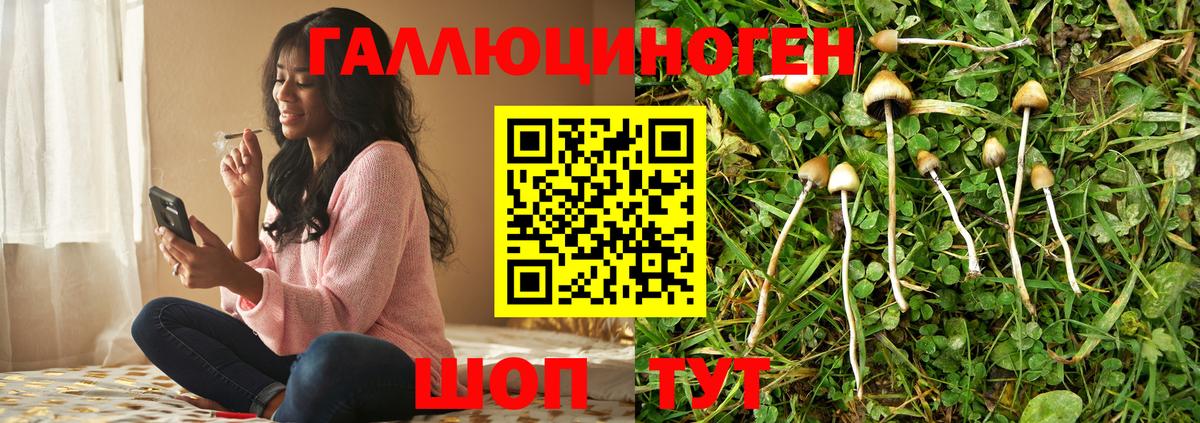 Галлюциногенные грибы Cubensis Горно-Алтайск